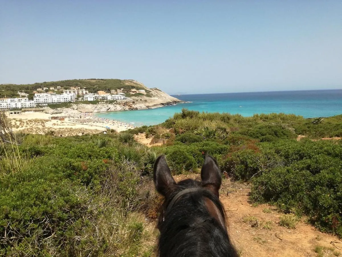Rosamar Holidays Apartments